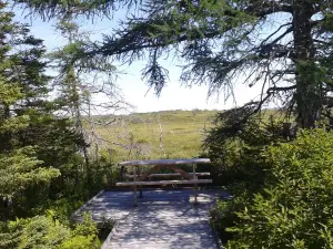 Winterland Ecomuseum