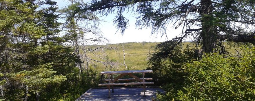 Winterland Ecomuseum