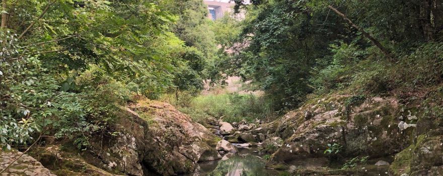 Shioiri Hot Spring