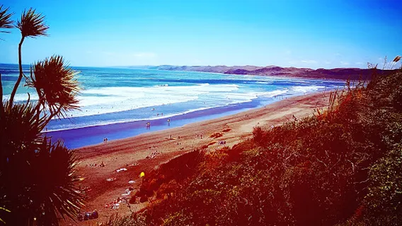 Wainui Reserve Bush Park