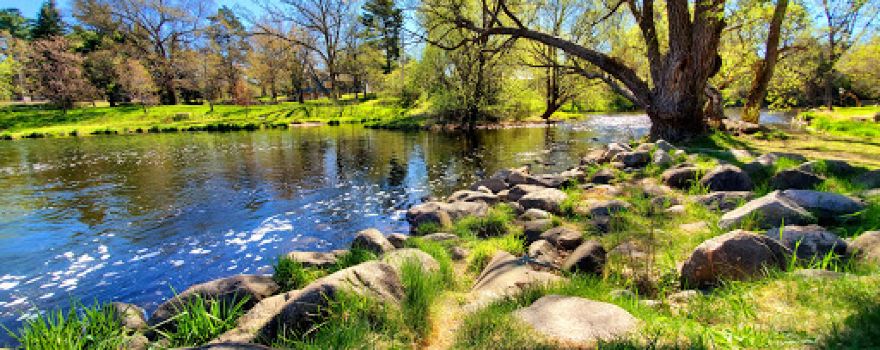 Pine River Dam