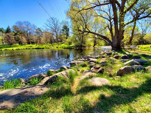 Pine River Dam