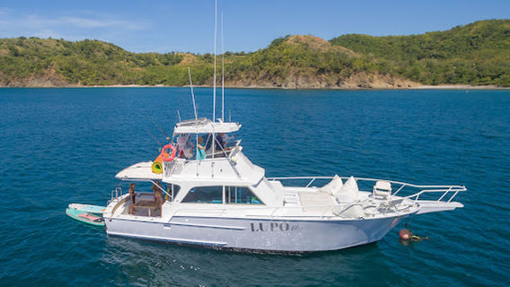 Ocean Life Costa Rica - Marina Flamingo