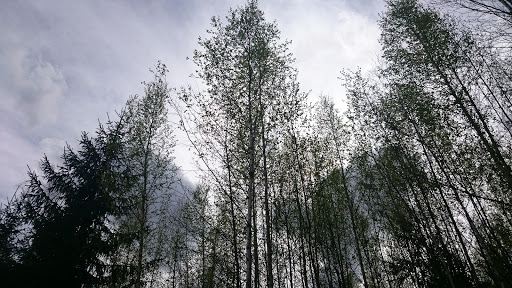 Vahteristo Nature Preserve