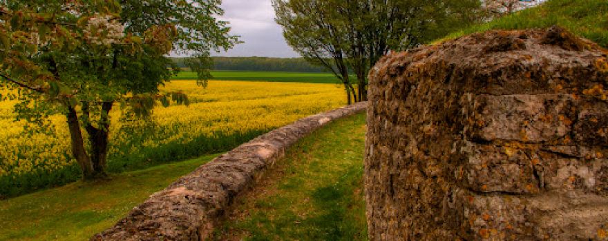 Site gallo-romain de Champlieu