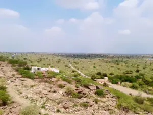 HAPPA DADAJI MANDIR DERA