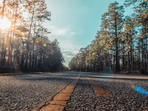 Conecuh National Forest Open Pond Recreation Area