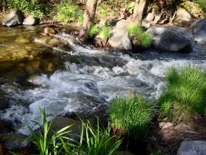 Leavis Flat Campground