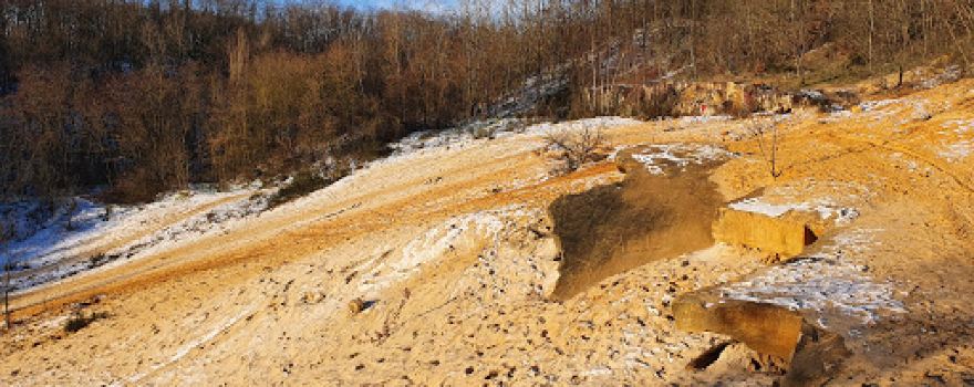 Forêt Départementale du Rocher de Saulx