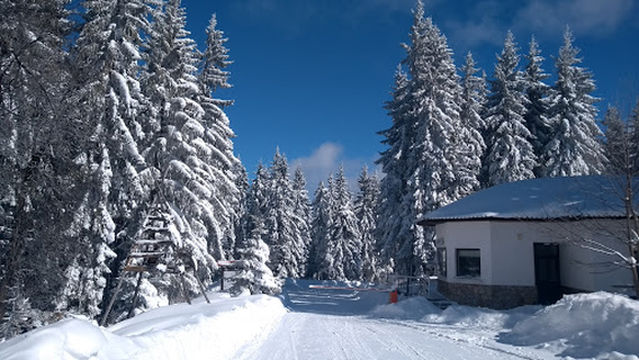 Rozhen National Astronomical Observatory