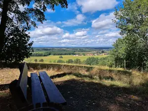 Rhododendronpark Kamenz