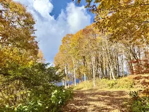 Hakuba Iwatake Mountain Resort