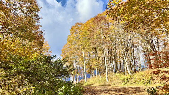 Hakuba