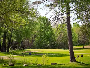 Woodstock Golf & Curling Club