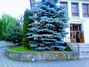 House of Culture Cugir