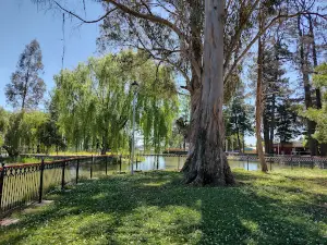 Alameda San Carlos