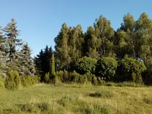 Park