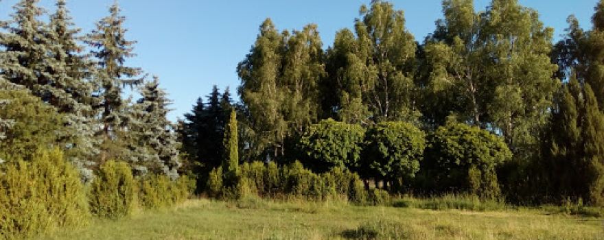 Park