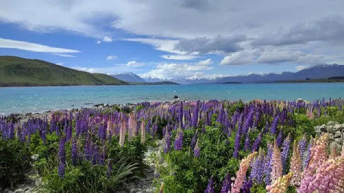Lake Tekapo / Takapō Scenic