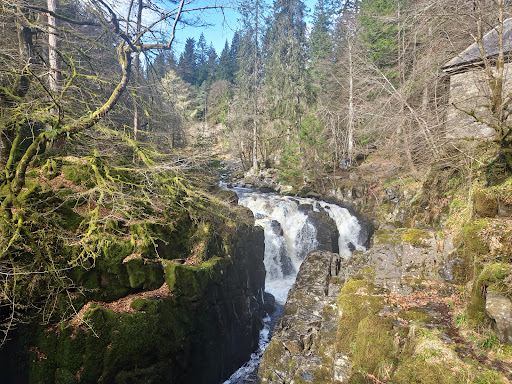 Tay Forest Park