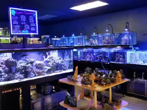 Exotics & Aquatics
