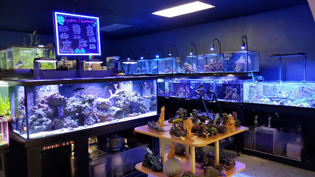 Exotics & Aquatics