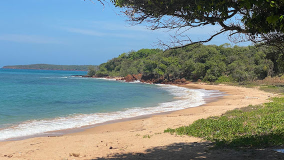 Shady beach (Ganarrimirri)