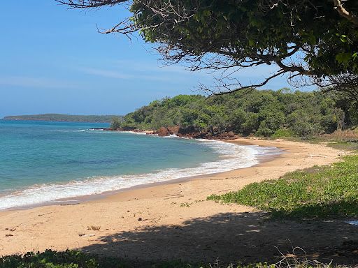 Shady beach (Ganarrimirri)