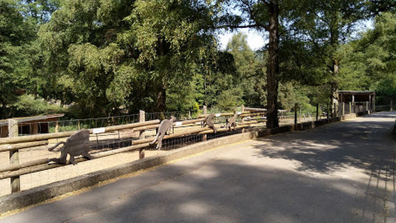 Zoo Neunkirchen, Kasse Nord