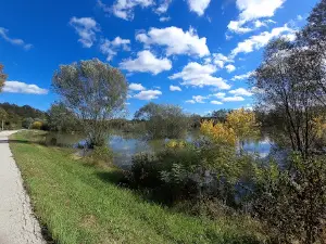 Kupa