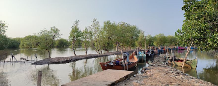 Wisata Mangrove Tapak