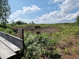 Diepholzer Moor