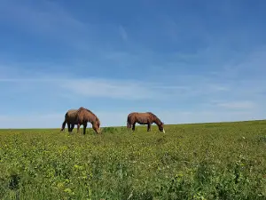 Ростовский государственный природный заповедник