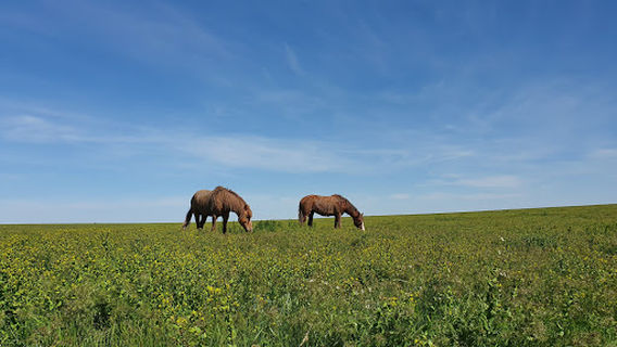 Rostovskiy Gosudarstvennyy Prirodnyy Zapovednik