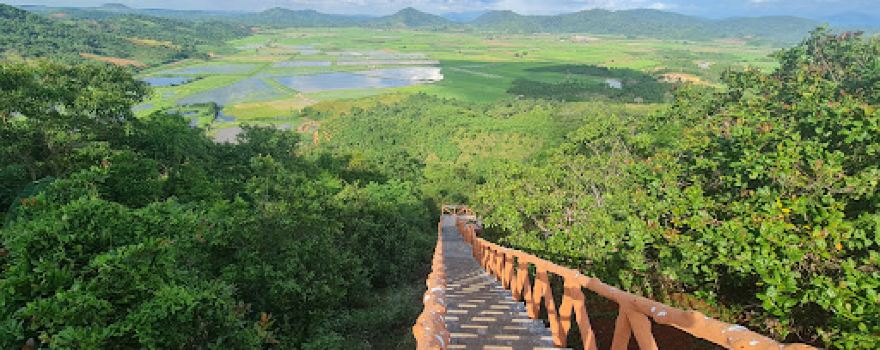 Điểm ngắm cánh đồng lúa ven núi lửa