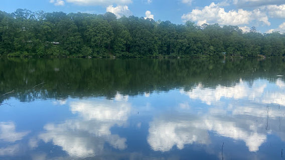 Бич эт Форт Ярго Лейк