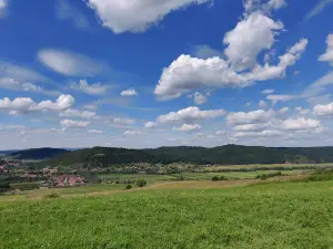 Cetatea Almașului