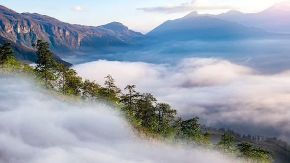 La Pan Tan Viewpoint