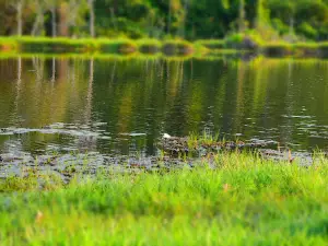Lago Da C