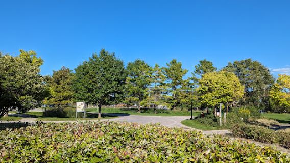 Hull Park