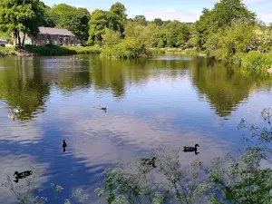 Ball Grove Park