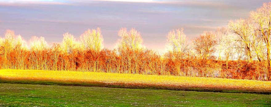 Welcome To The Kentucky Bend!