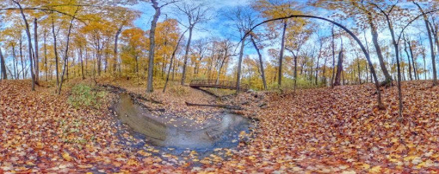 Henry's Woods Park