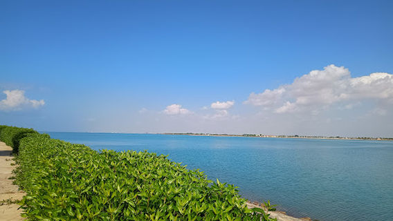 China Park/waterfront Park Yanbu