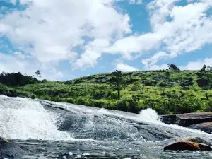 Gin Ganga