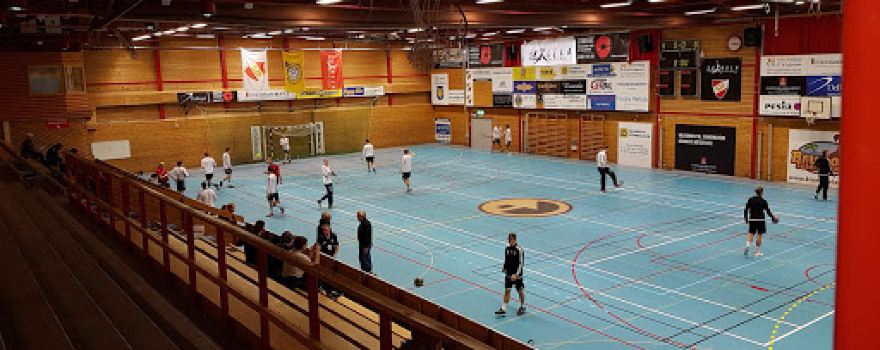 Vikingahallen