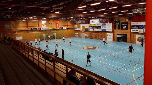 Vikingahallen