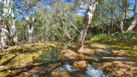 Chilligoe swimming hole