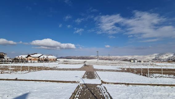 Almaty Horse&Polo Club