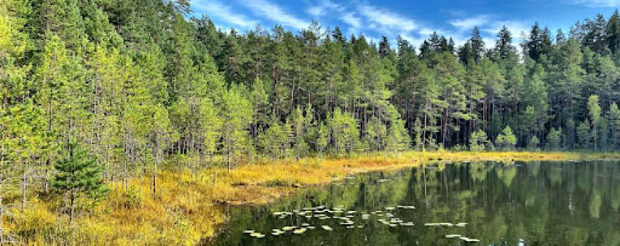 Väike väerada